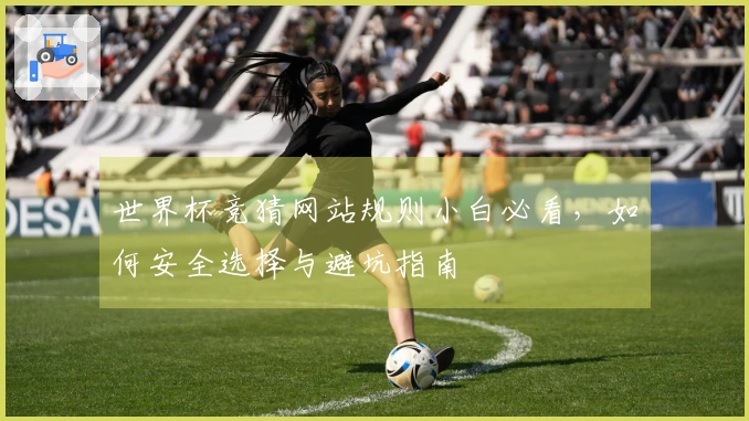 世界杯竞猜网站规则小白必看，如何安全选择与避坑指南