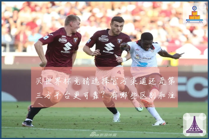 买世界杯竞猜选择官方渠道还是第三方平台更可靠？有哪些区别和注意事项