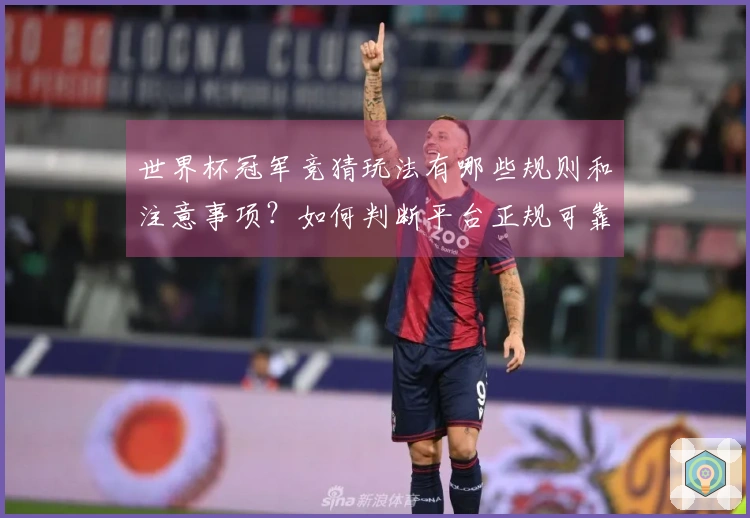 世界杯冠军竞猜玩法有哪些规则和注意事项？如何判断平台正规可靠