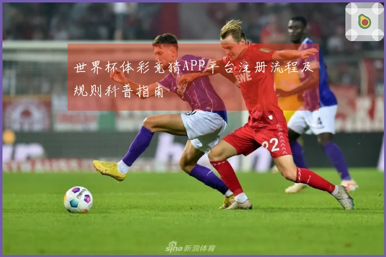 世界杯体彩竞猜APP平台注册流程及规则科普指南