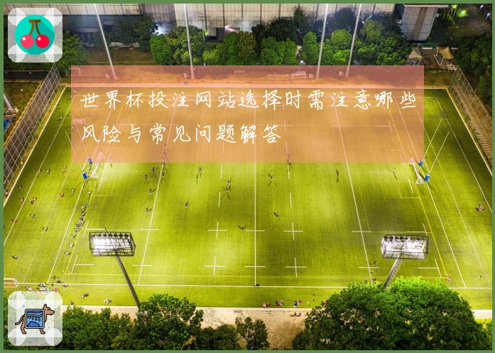 世界杯投注网站选择时需注意哪些风险与常见问题解答体育资讯
