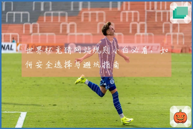 世界杯竞猜网站规则小白必看，如何安全选择与避坑指南