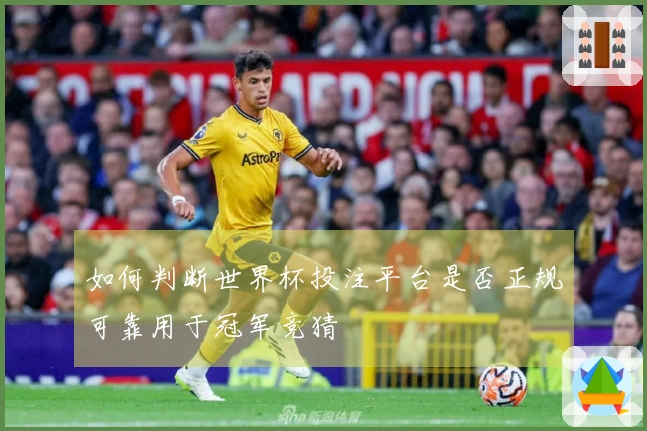如何判断世界杯投注平台是否正规可靠用于冠军竞猜